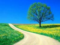 Arbol-1