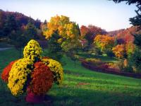 Arboretum d'Aubonne