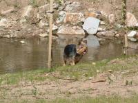 Murphy : j'avais soif!!!!!