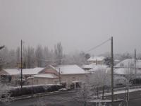 Neige 2009