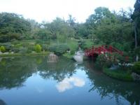 Le jardin japonais