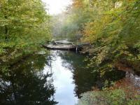 Strasbourg : Forêt Robertsau