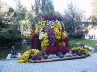Fleurs en cascade