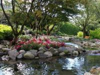 Minter garden