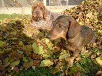 Tania et micky 2007