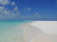 Ile coco