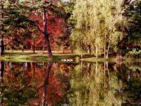 Miroir d'automne