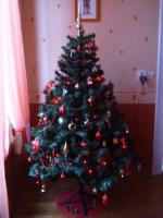 Notre premier sapin