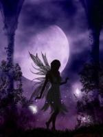 L'elfe nocturne