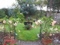 Jardin1
