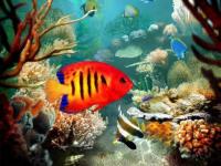 Acuario