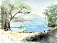Nature 1