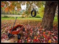 Otoño -3
