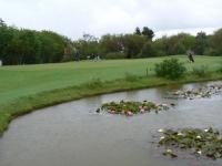 Golf d'Etretat 2