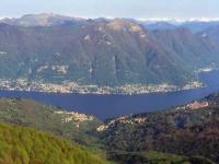 Brunate