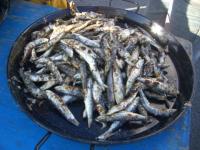 Sardinade