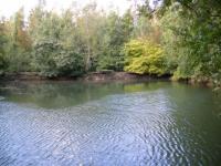 La charente
