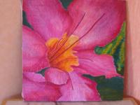 Pastouille : adenium