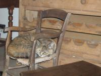 Repos du guerrier