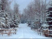 Hiver Beauceronne
