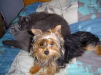 Calin et Lucky