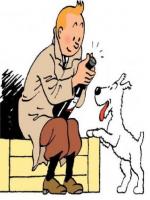 Tintin 80 ans