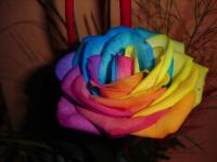 Rosa arco iris 4