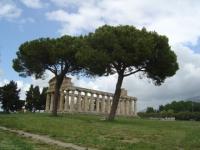 Temple de paestum