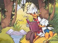 Lecture sur l'herbe