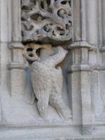 Chimère