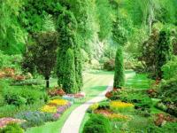 Jardin de rêve