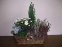 Corbeille de fleurs