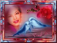 Amour de dauphins