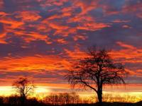 Couleur feu
