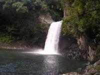 Bassin la paix (Réunion)