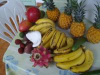 Fruits exotiques