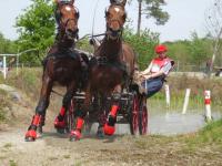 Attelage St Aignan