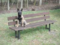 Le repos pour cali