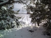 Neige en provence