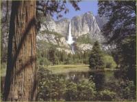 Cascade yk
