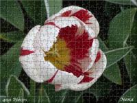Effet puzzle