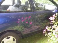 Voiture miroir