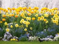 C'est le printemps
