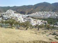 MoulayDriss