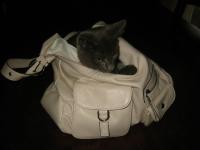 L'affaire est dans le sac..