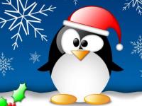 Pinguino