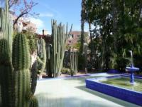 Jardin Majorelle Marrakech 03