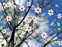 Primavera :-)