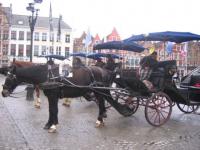 Bruges : Balade en calèche
