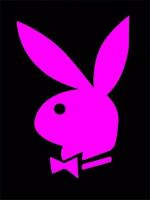 Lapin playboy rose